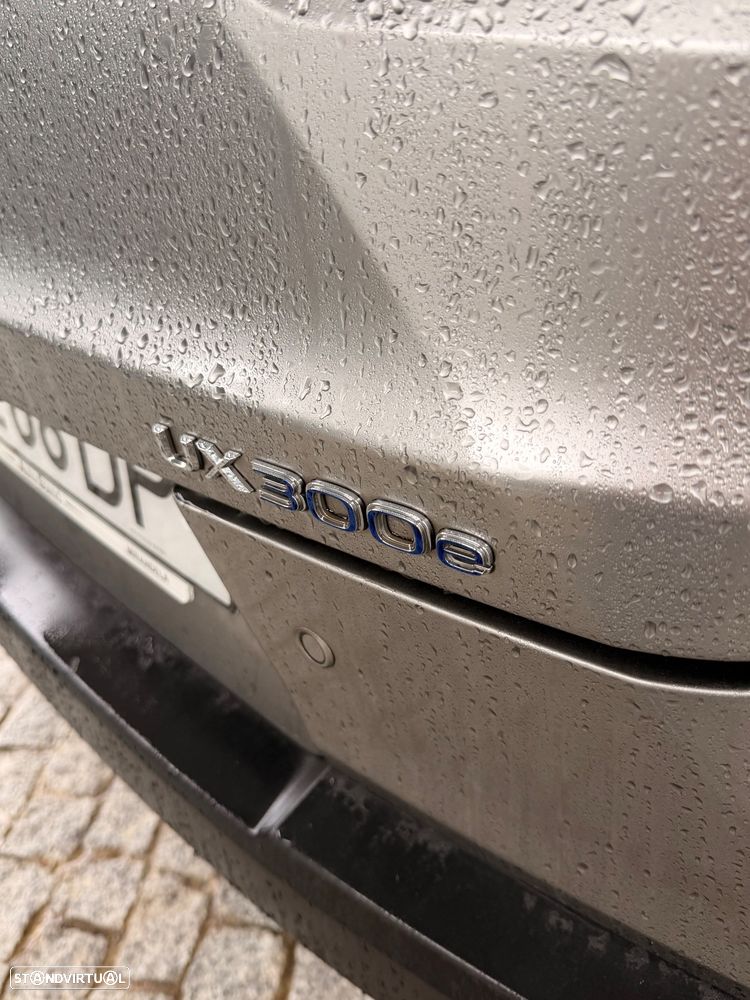 Lexus UX 300e - 3