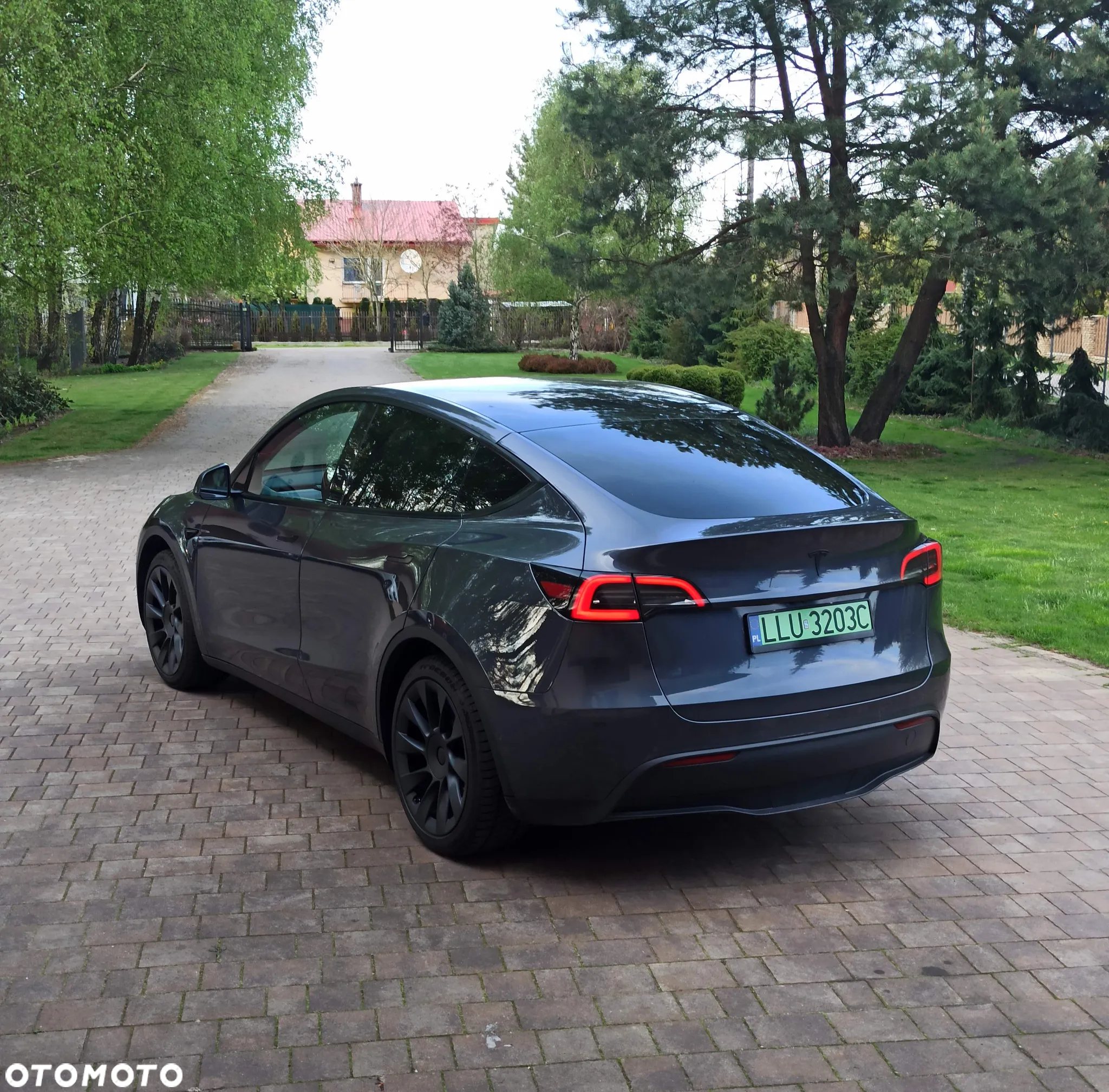 Tesla Y Model RWD - 21