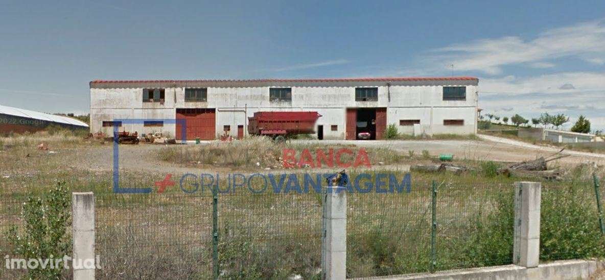 Armazém Industrial - Bragança - Grande imagem: 2/9