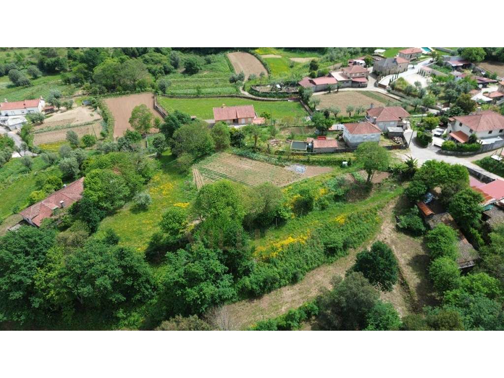 Terreno para Construção 2.640 m² | Rebordões Souto - Ponte de Lima - Grande imagem: 5/8