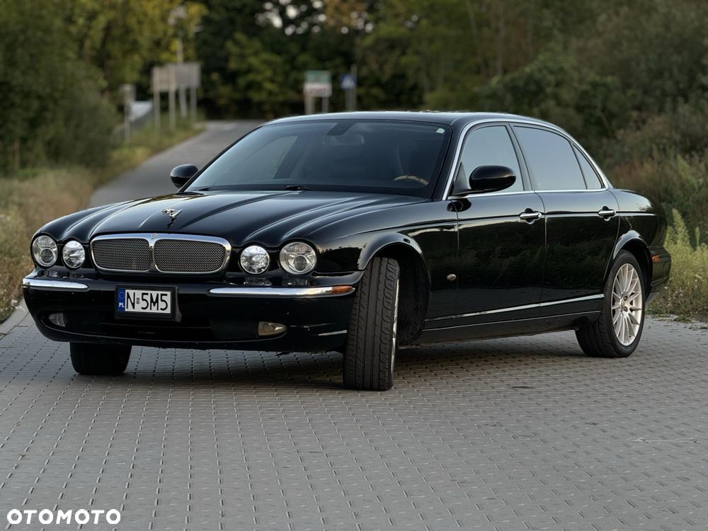 Jaguar Inny - 1