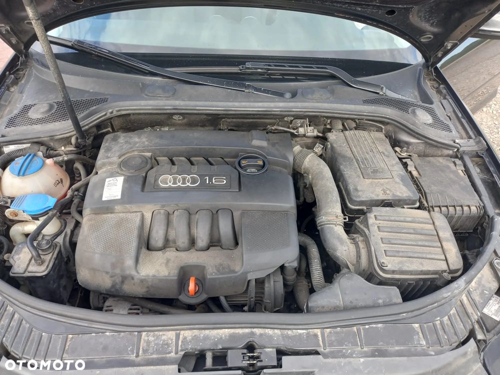 Audi A3 3-drzwiowe 1.6 Limited Edition - 11