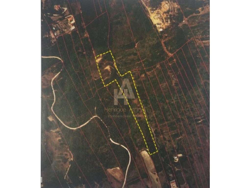 Terreno com Projeto Aprovado inserido numa localização ímpar com vi... - Grande imagem: 3/5