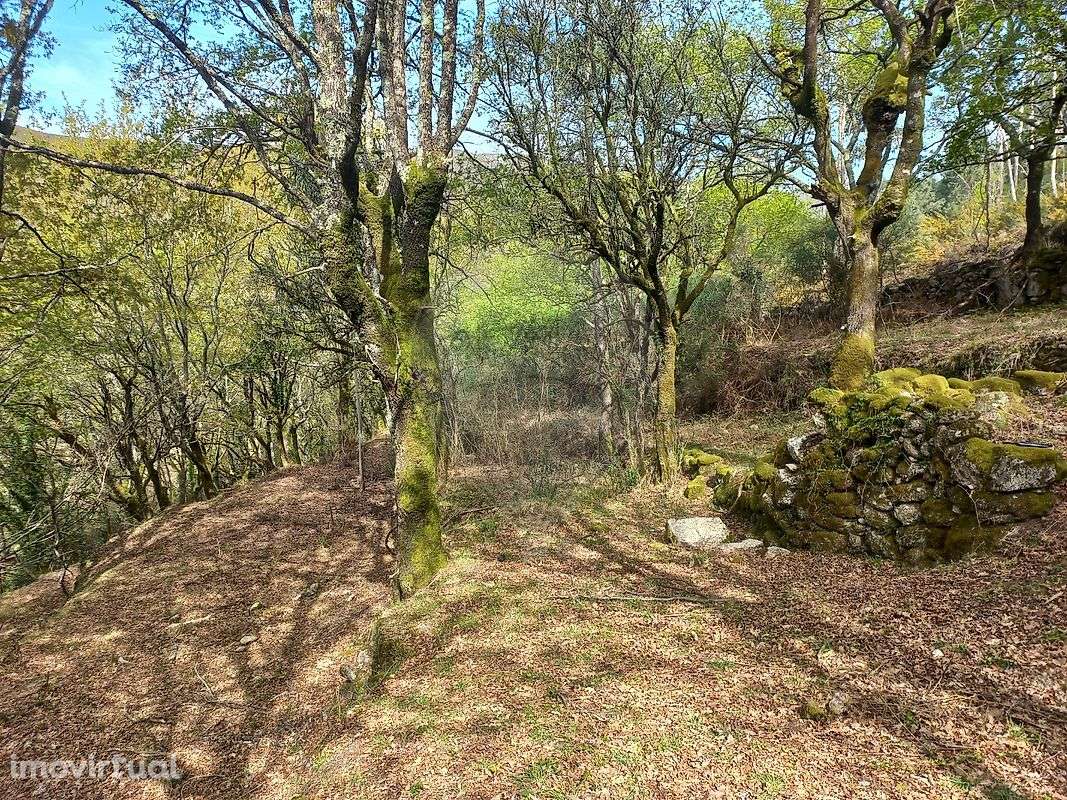 Terreno  para venda - Grande imagem: 4/15