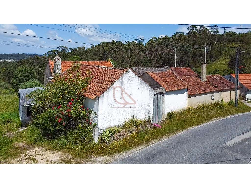 Oportunidade Única em Gondemaria: 2 Habitações Independentes com Po... - Grande imagem: 2/11