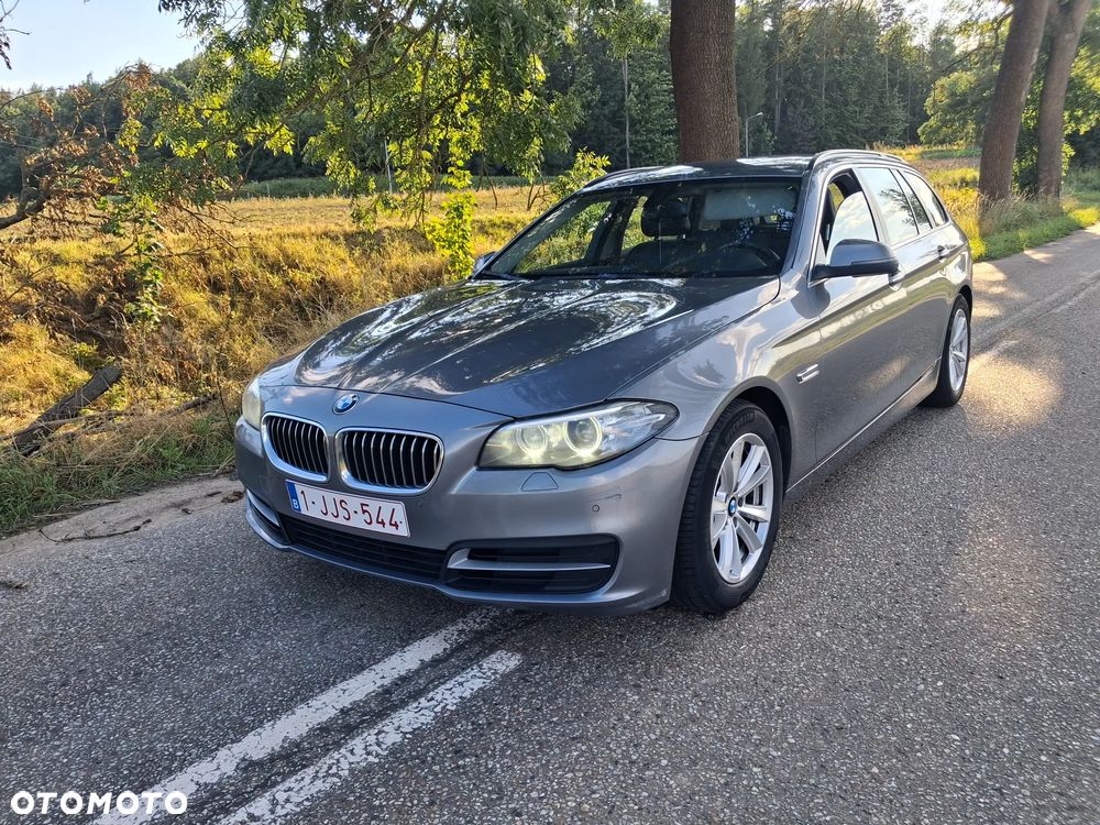 BMW Seria 5 520d Edition Fleet Sport - 1