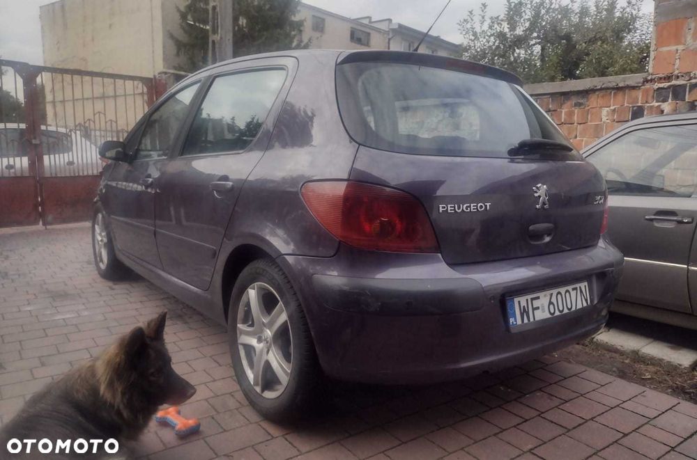 Peugeot 307 - 3