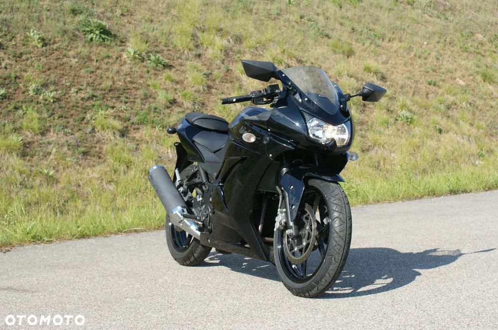 Kawasaki Ninja 250R - 3