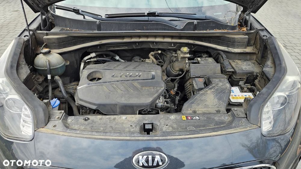 Kia Sportage 1.6 CRDI 2WD EDITION 7 - 12