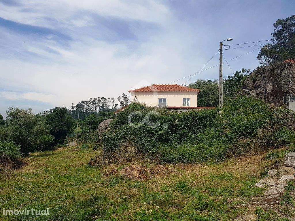 Terreno em Jesufrei! - Grande imagem: 3/4