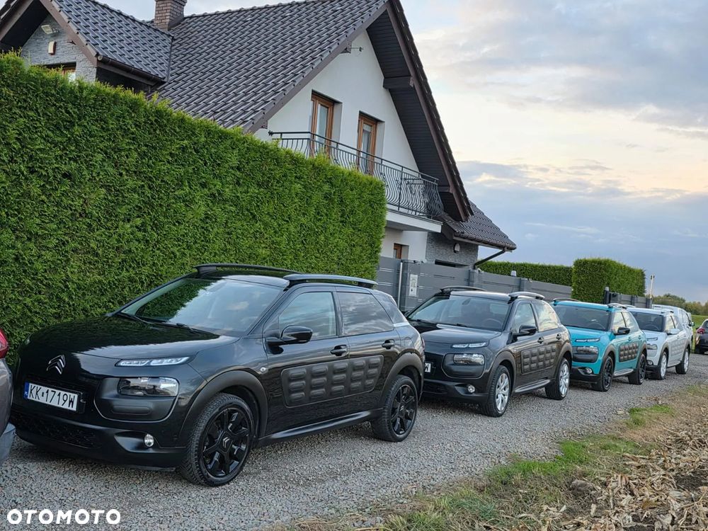Citroën C4 Cactus PureTech 82 Shine - 29