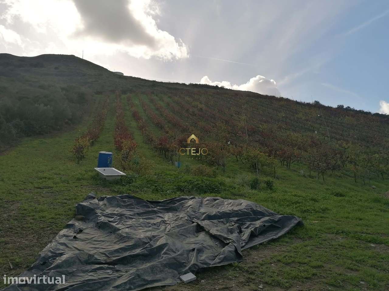 TERRENO RUSTICO - Grande imagem: 5/6