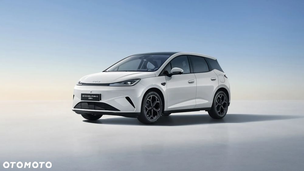 BYD Dolphin G - 10
