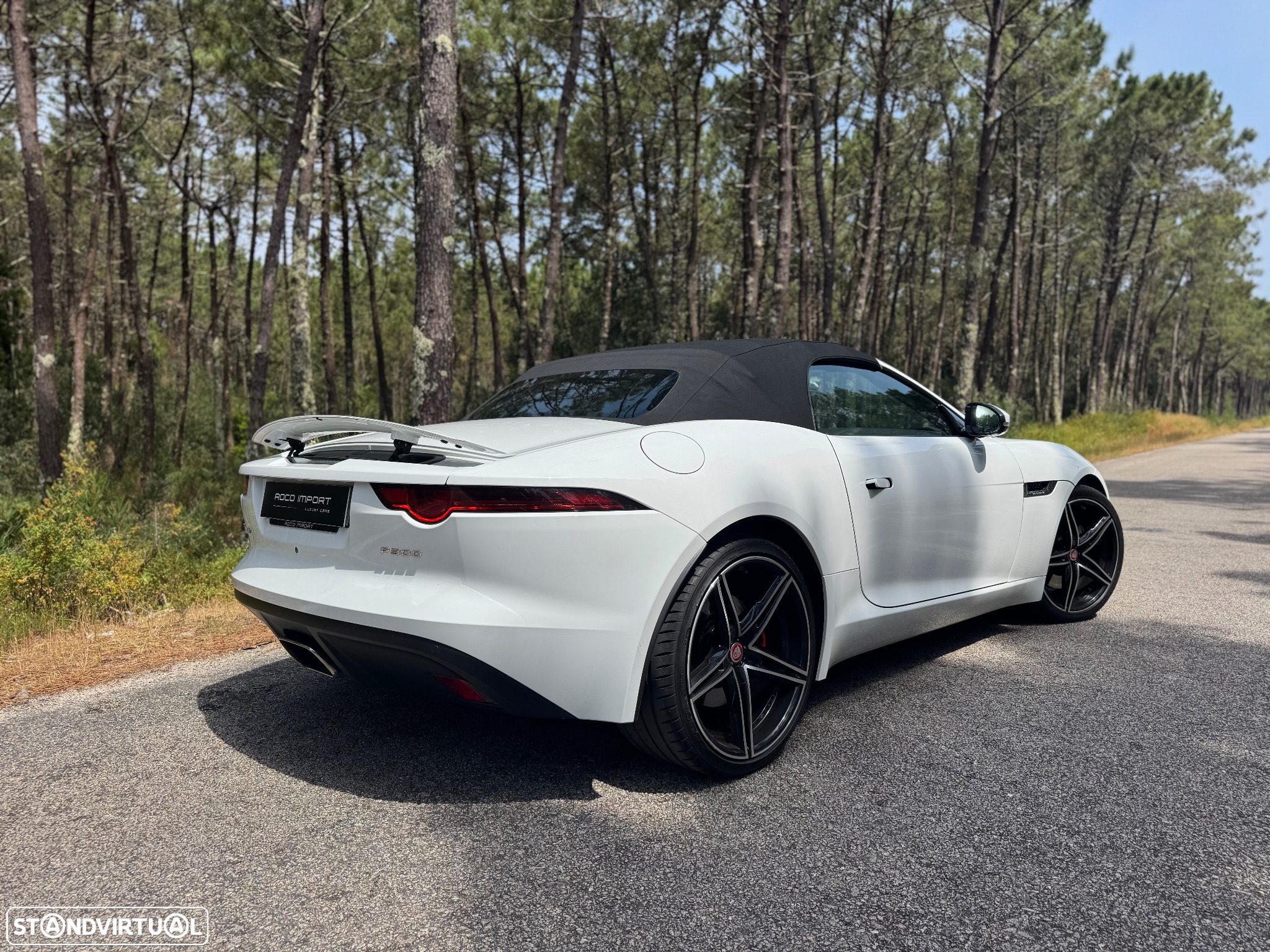 Jaguar F-Type Cabriolet P300 Aut. First Edition - 12