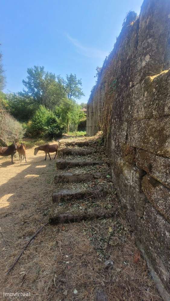Quintinha com elevado potencial - Anissó - Grande imagem: 2/34