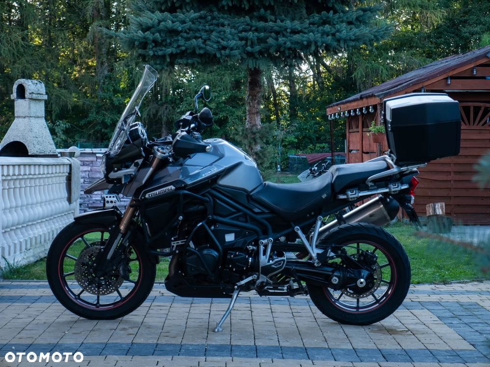Triumph Tiger - 5