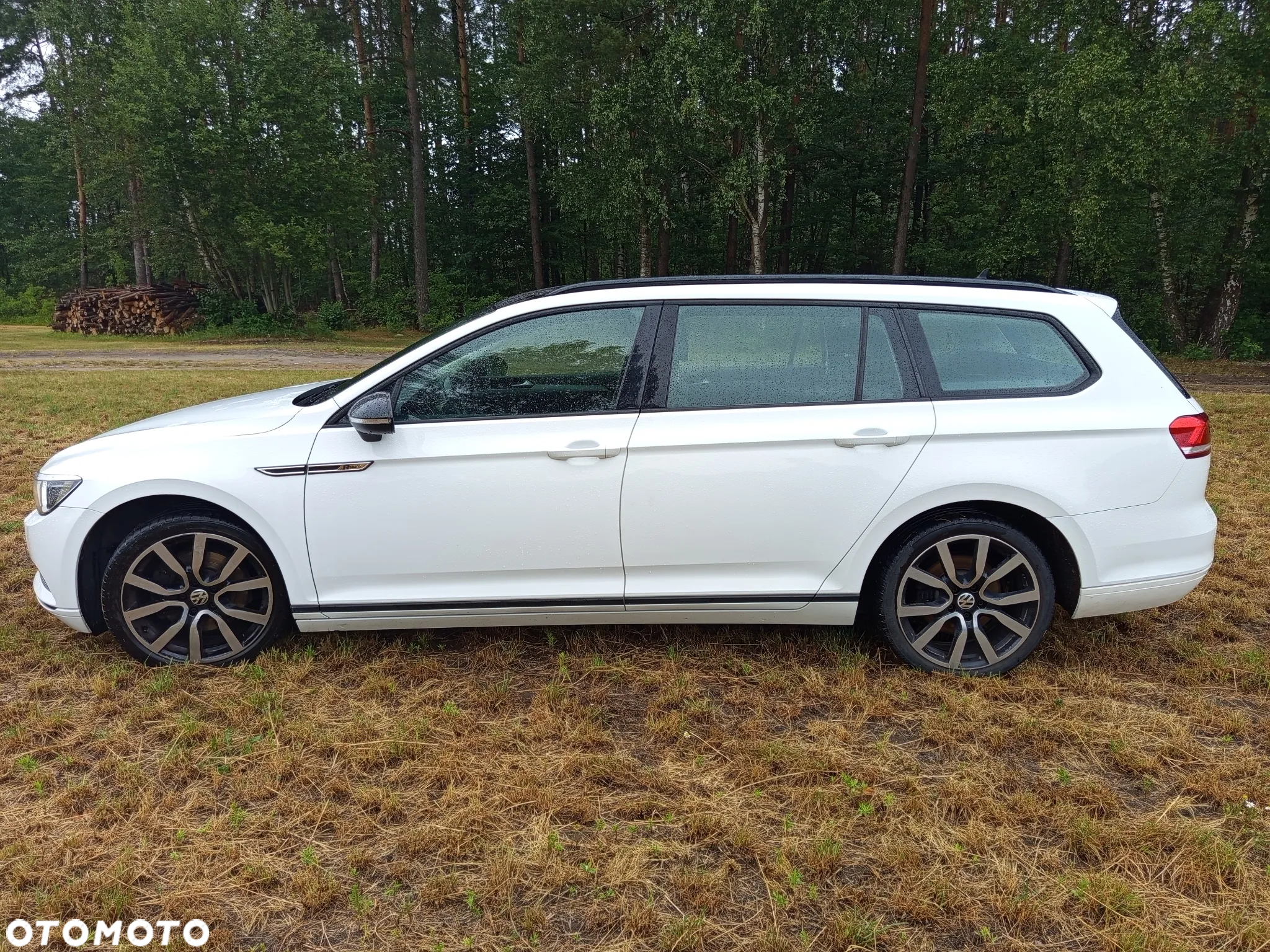 Volkswagen Passat - 11