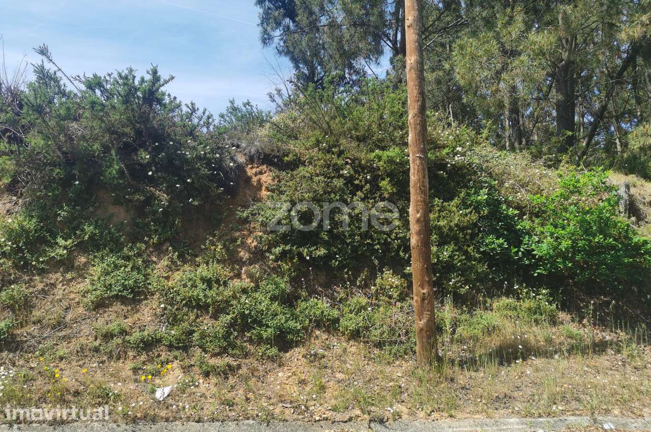 Terreno, para construção, frente para Estrada Real, Recardães, Águe... - Grande imagem: 5/31