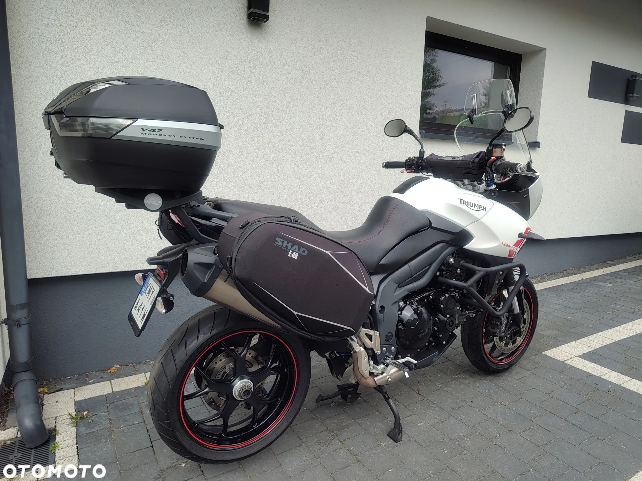 Triumph Tiger - 3