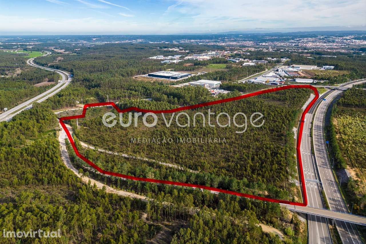 TERRENO PARA INDÚSTRIA- BAROSA - LEIRIA - Grande imagem: 5/14