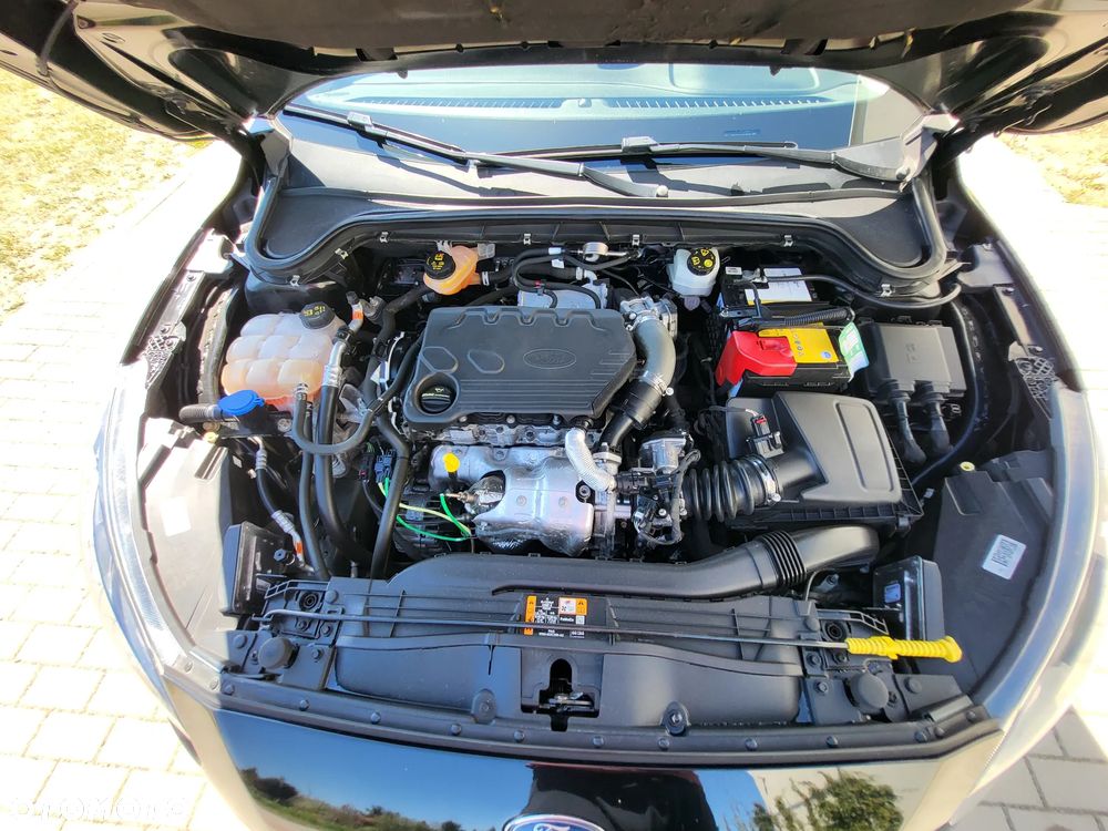 Ford Focus 1.5 TDCi Platinium X PowerShift - 21