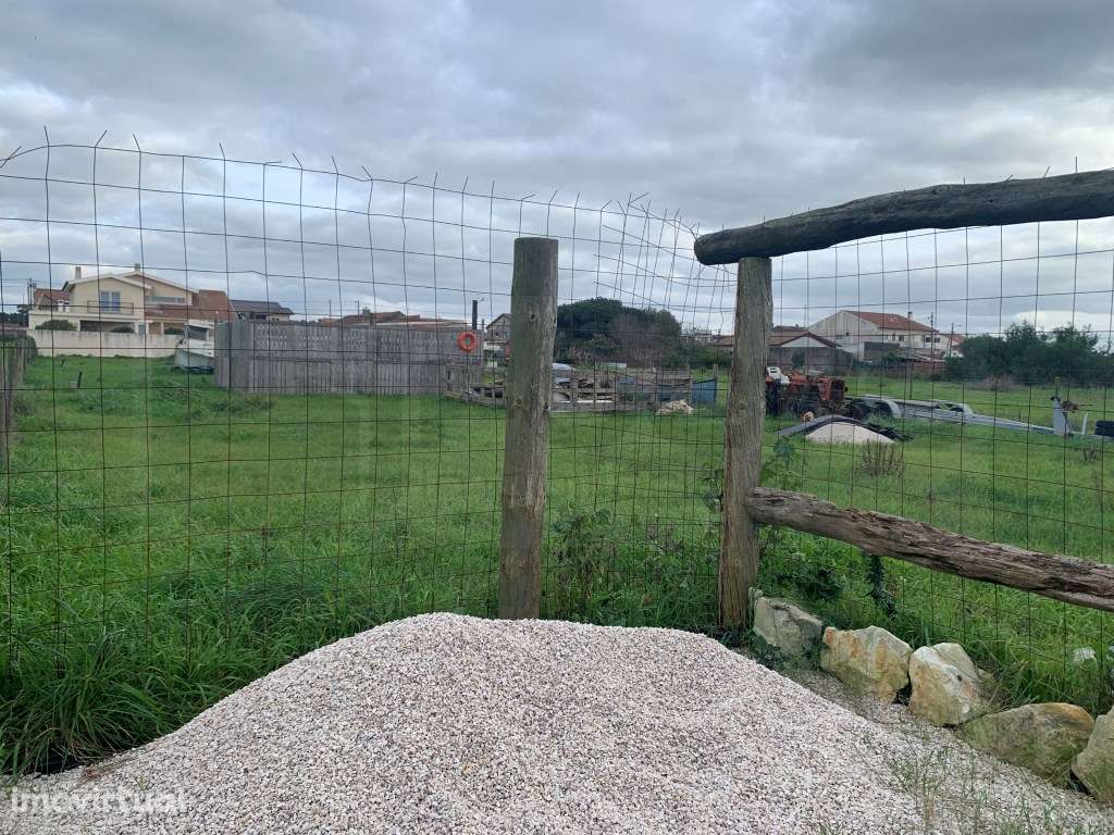 Terreno com vista espetacular sobre a Ria e Costa Nova - Grande imagem: 5/6