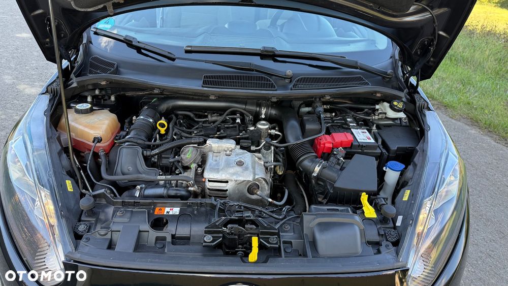 Ford Fiesta 1.0 EcoBoost Gold X EU6 MPS6 - 18
