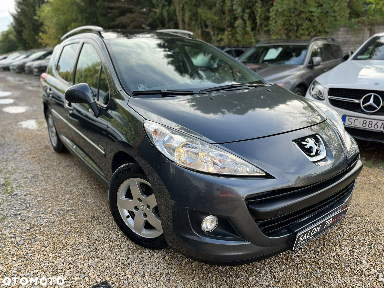 Peugeot 207 - 3