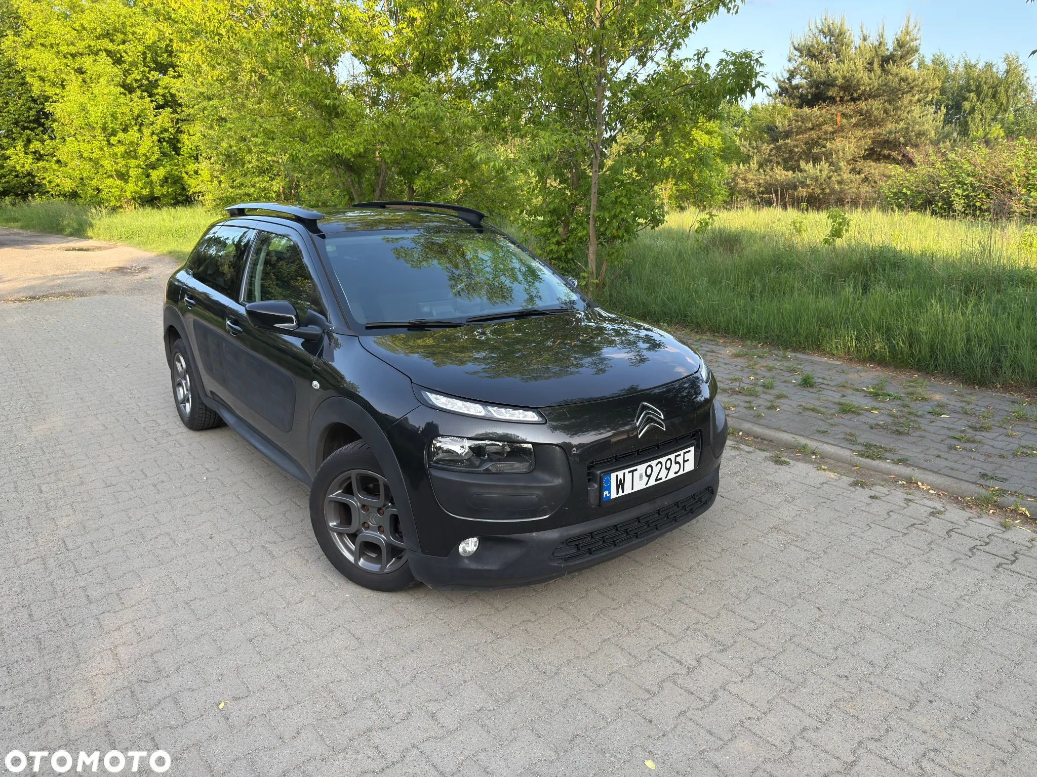 Citroën C4 Cactus 1.6 BlueHDi Feel - 1
