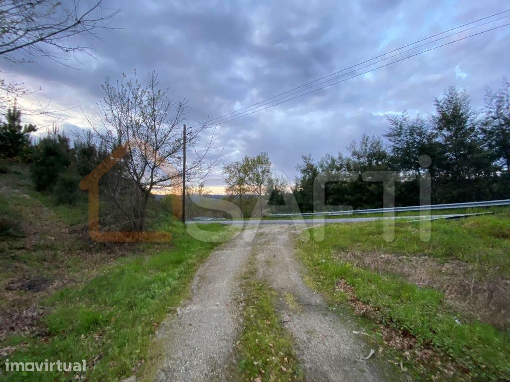 Terreno junto a EM 624 Tondela 1180m2 Vende-se 20 000€ - Grande imagem: 2/4