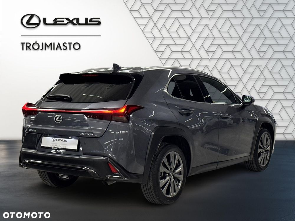 Lexus UX 250h GPF F Sport Design 2WD - 5