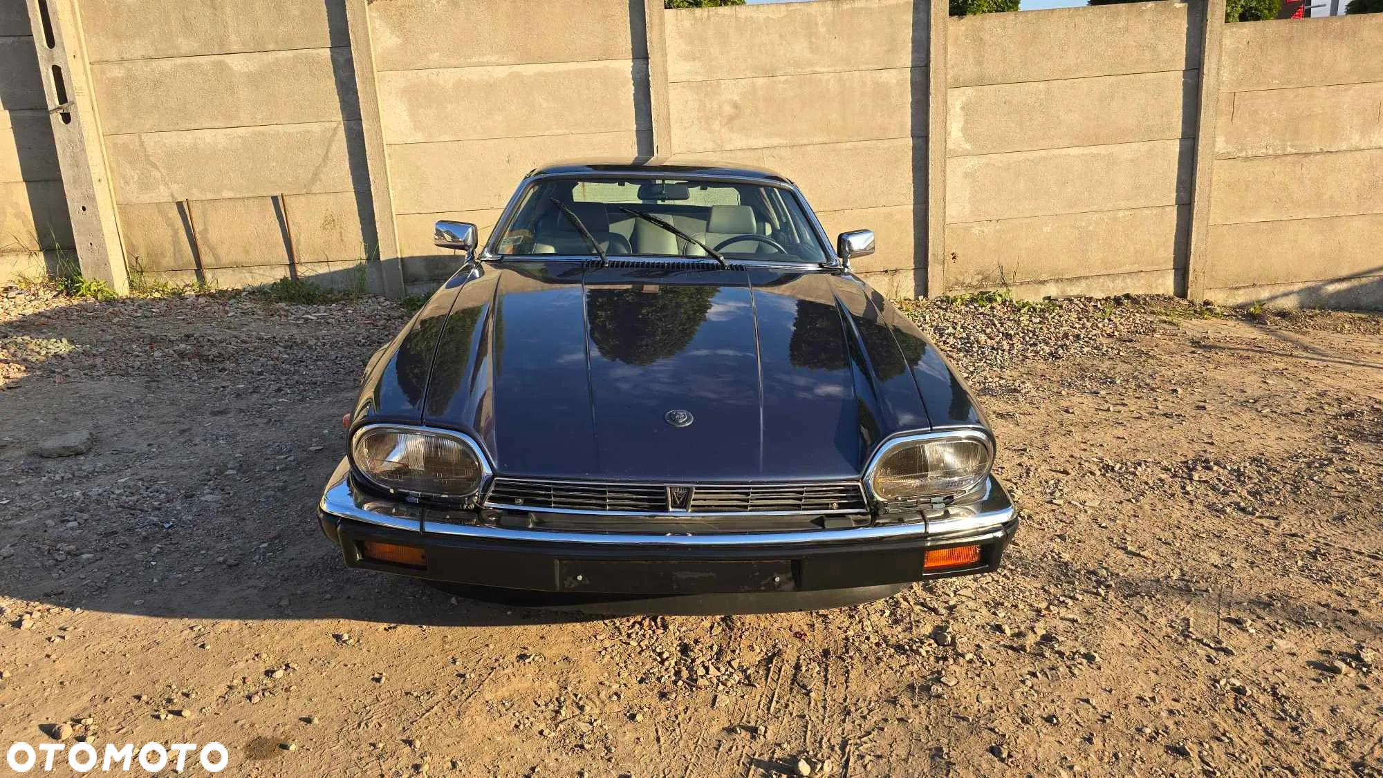 Jaguar XJS - 15