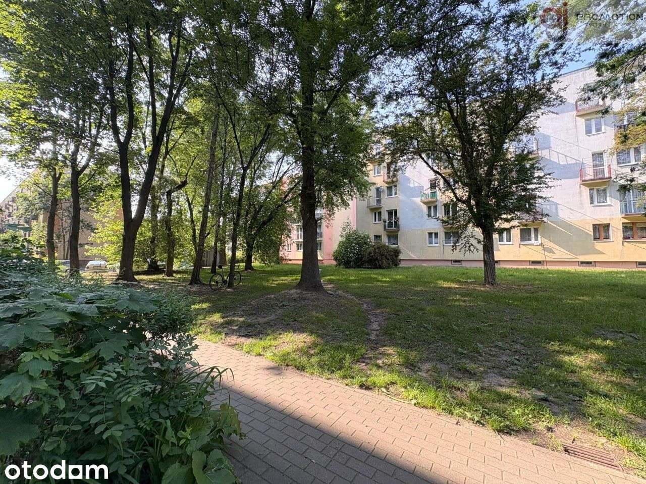 2pok mieszkanie z osobną kuchnią - Gojawiczyńskiej
