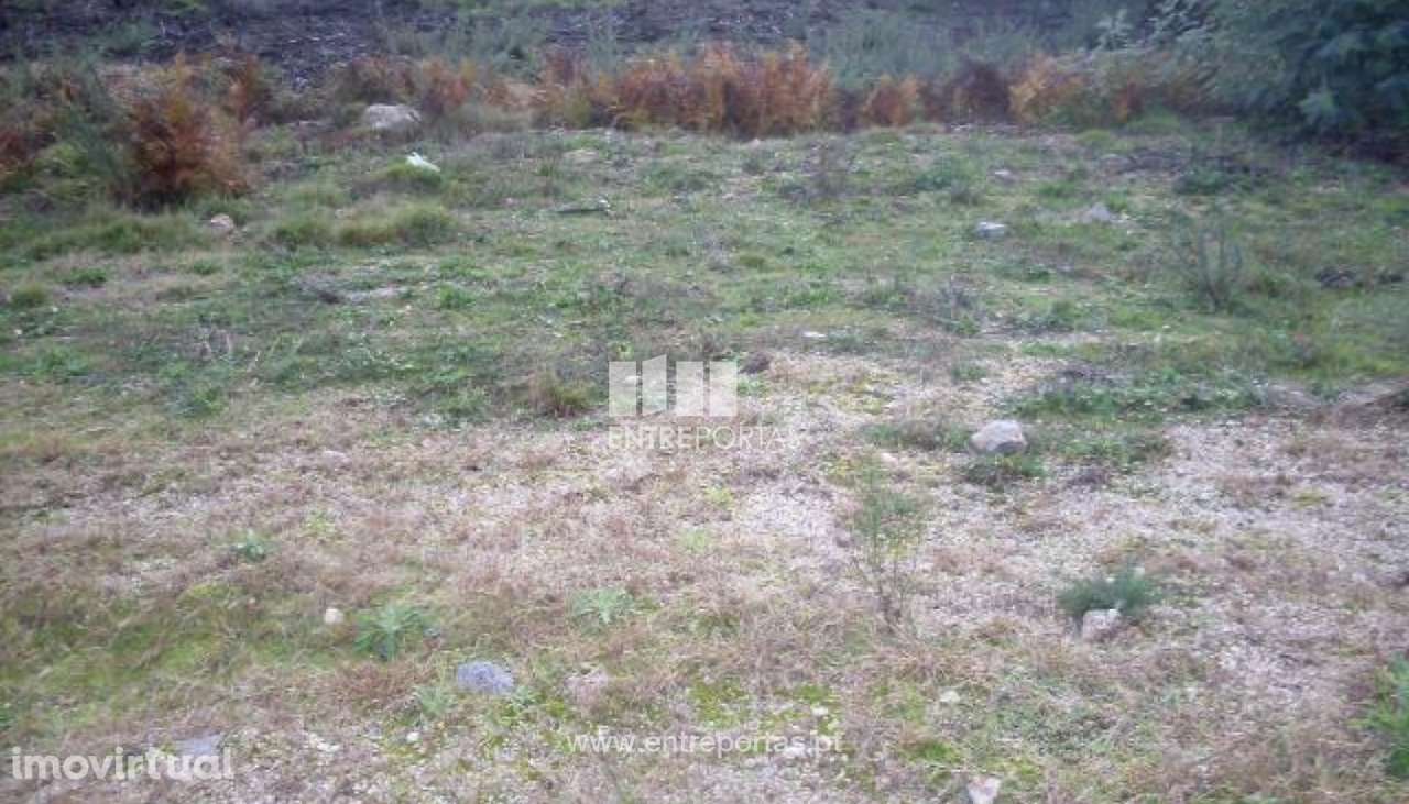 Venda Lote, Grilo, Baião - Grande imagem: 5/24