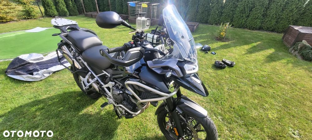 Triumph Tiger - 7