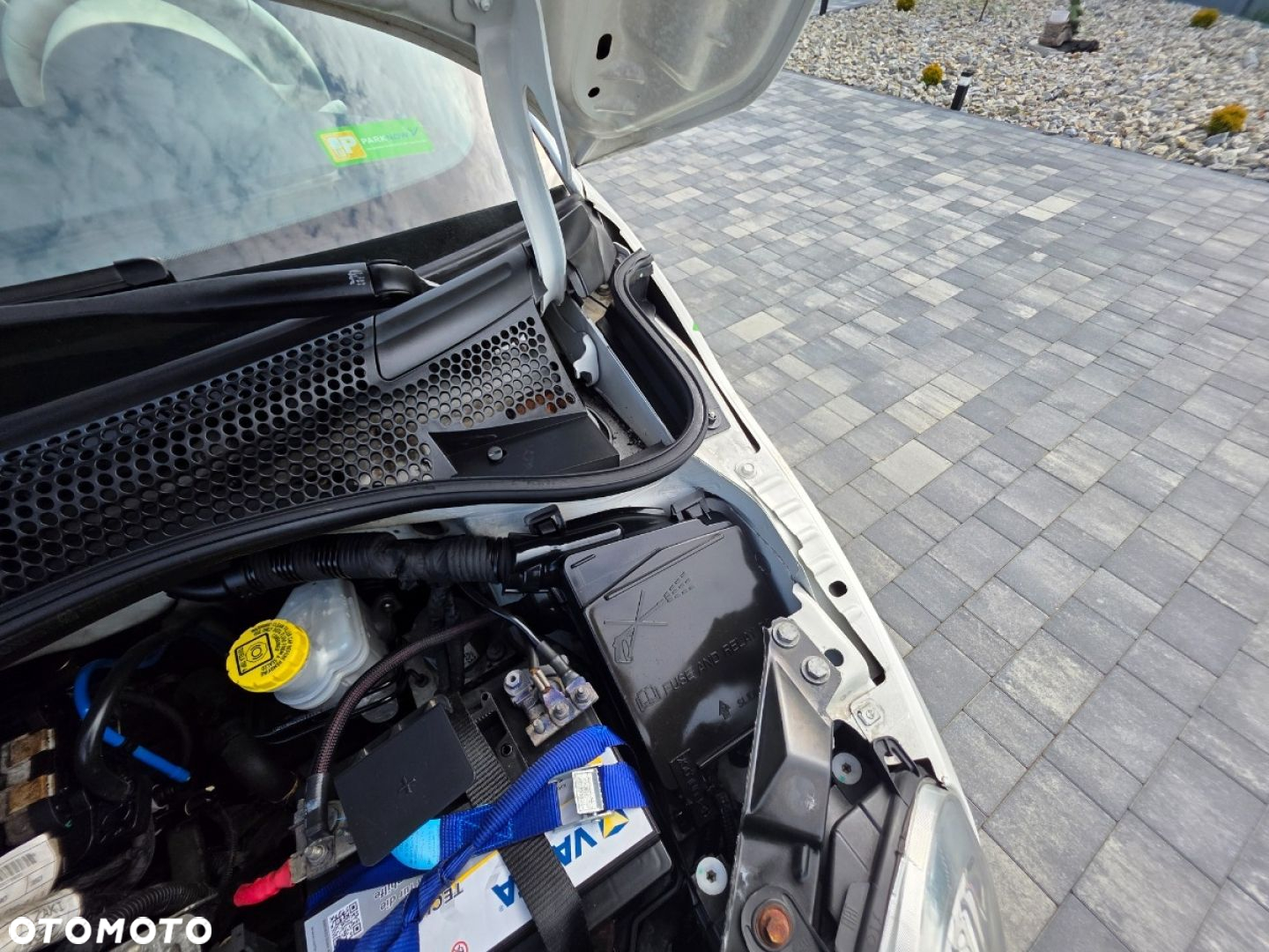 Fiat 500 - 24
