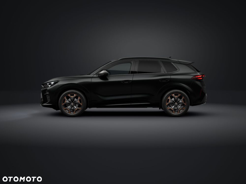Cupra Terramar - 2