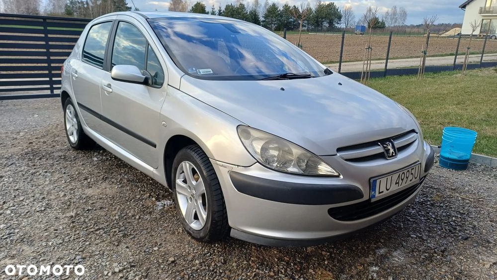 Peugeot 307 110 Grand Filou - 3