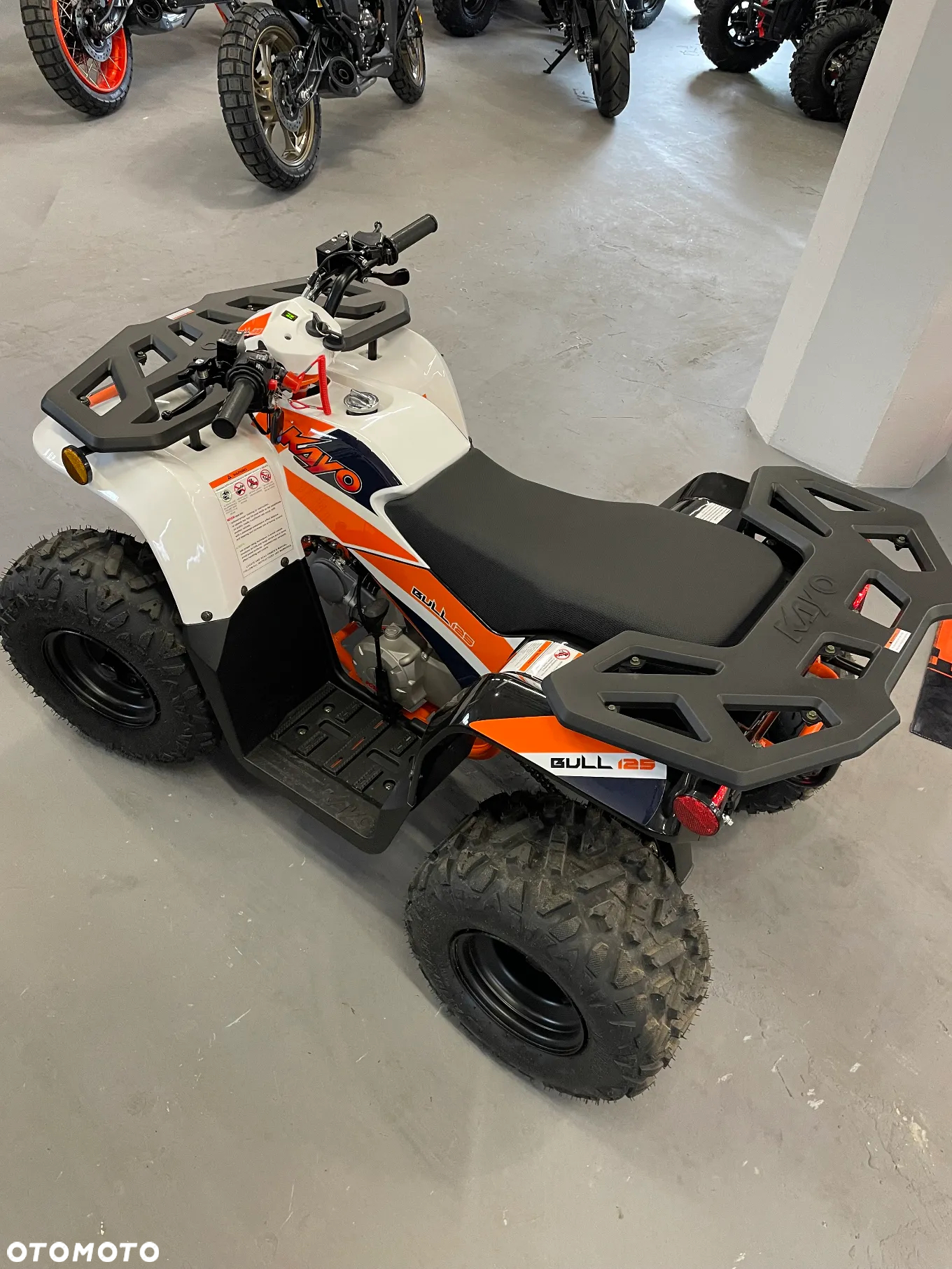 KAYO AU - 11
