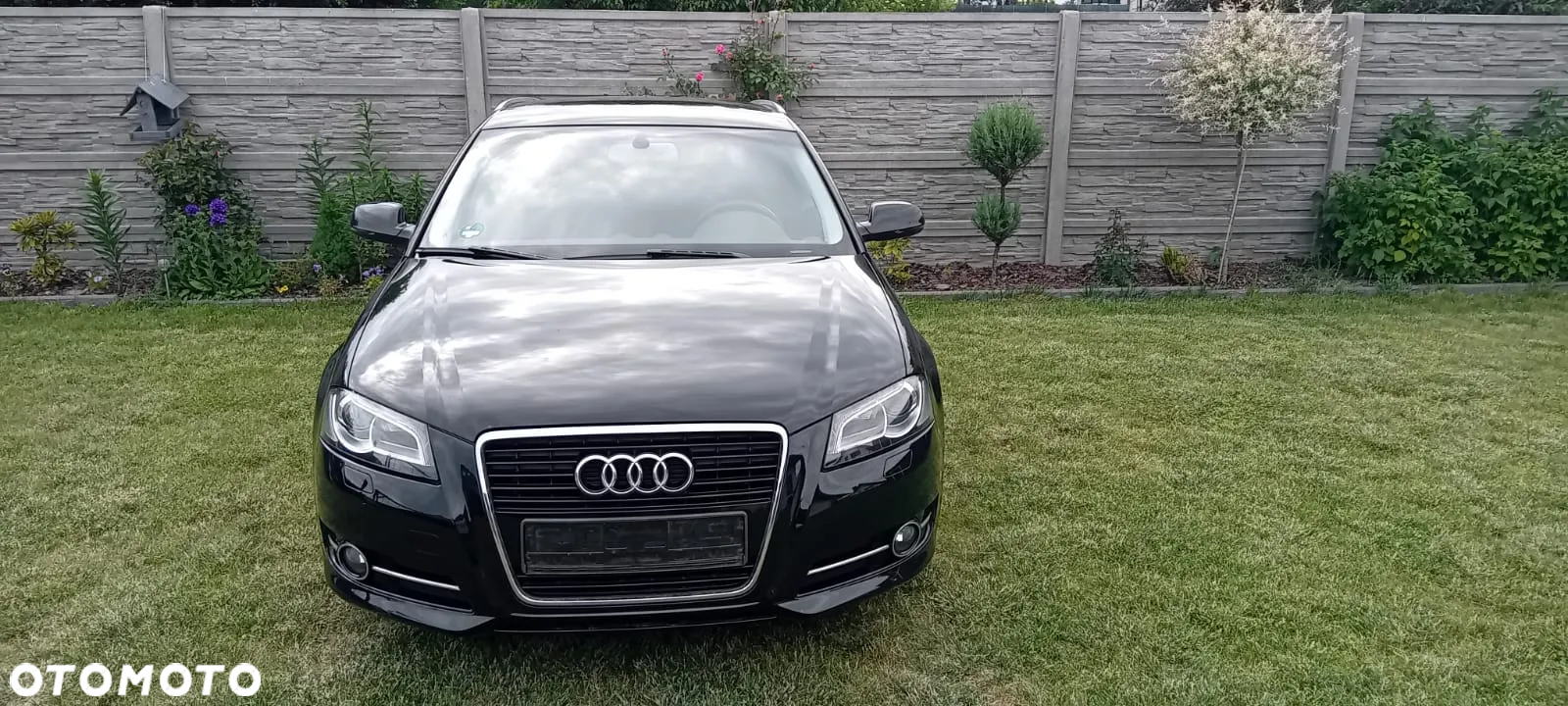 Audi A3 1.6 TDI Sportback DPF Attraction - 2