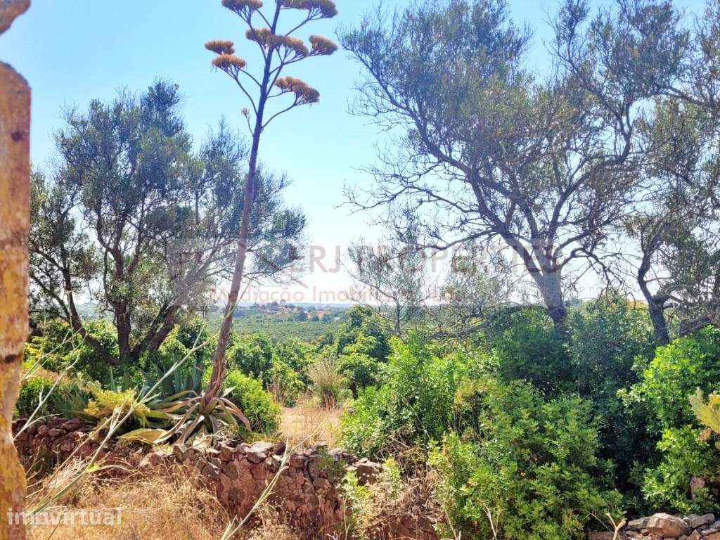Terreno Misto em Vila Nova de Cacela - Grande imagem: 2/8