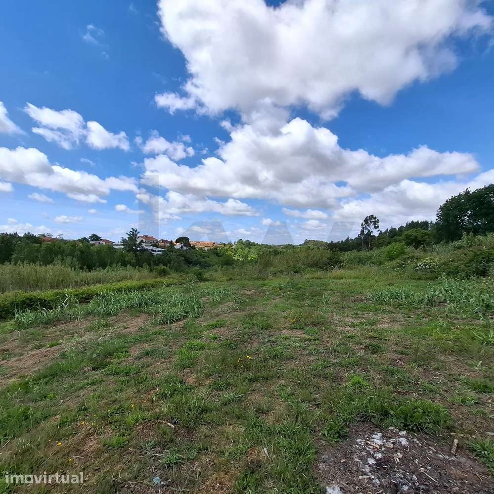 Quinta do Formigal: 2 Hectares com Potencial Turístico e Agrícola em S - Grande imagem: 4/13