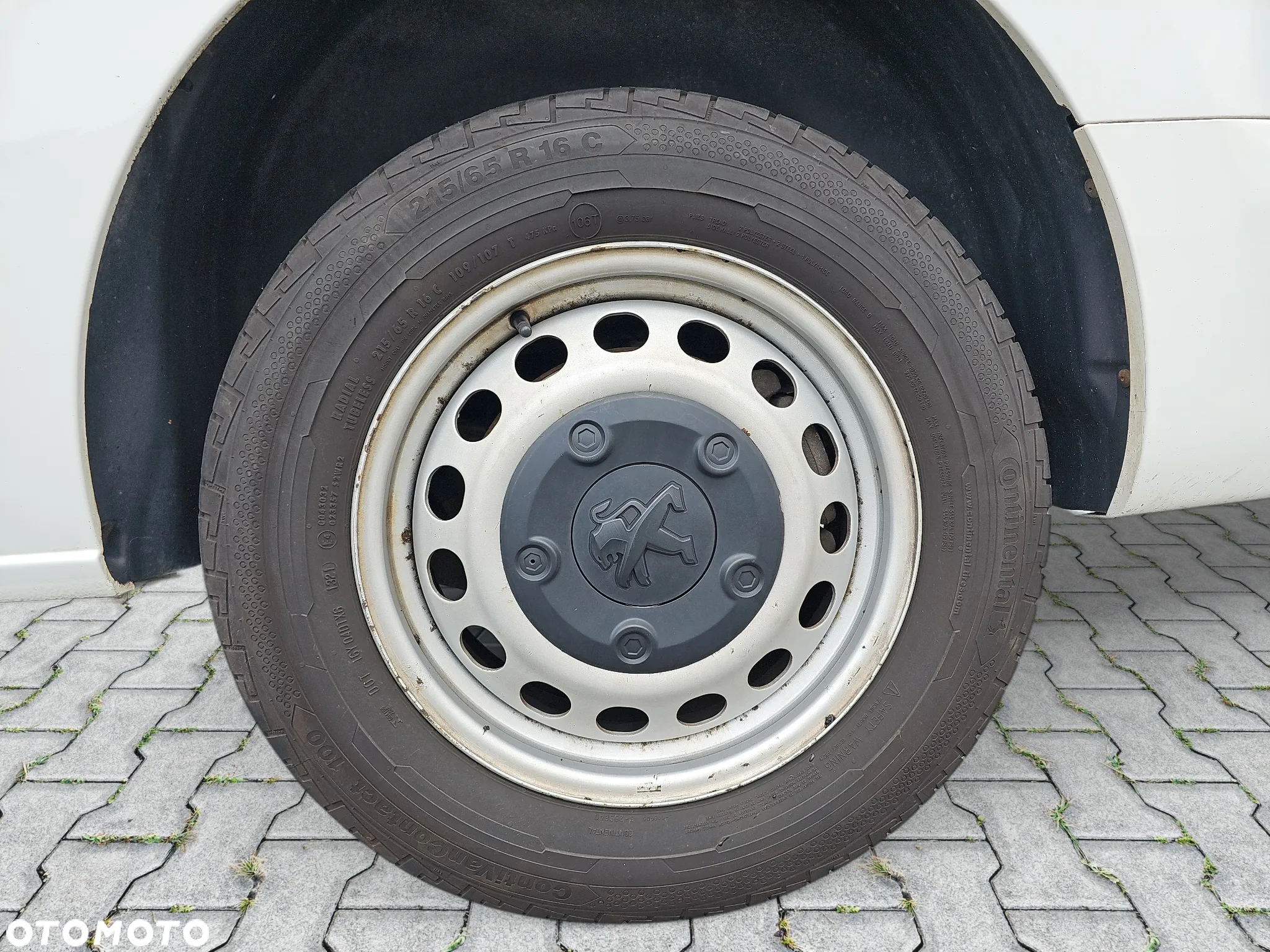 Peugeot Expert - 22