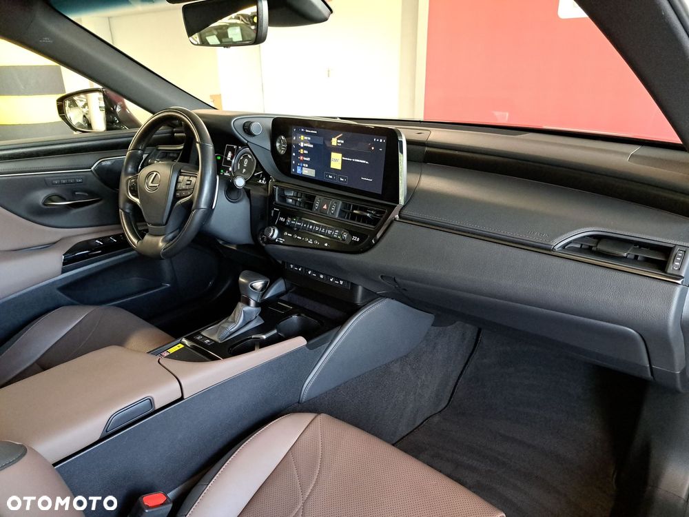 Lexus ES 300h Omotenashi - 17