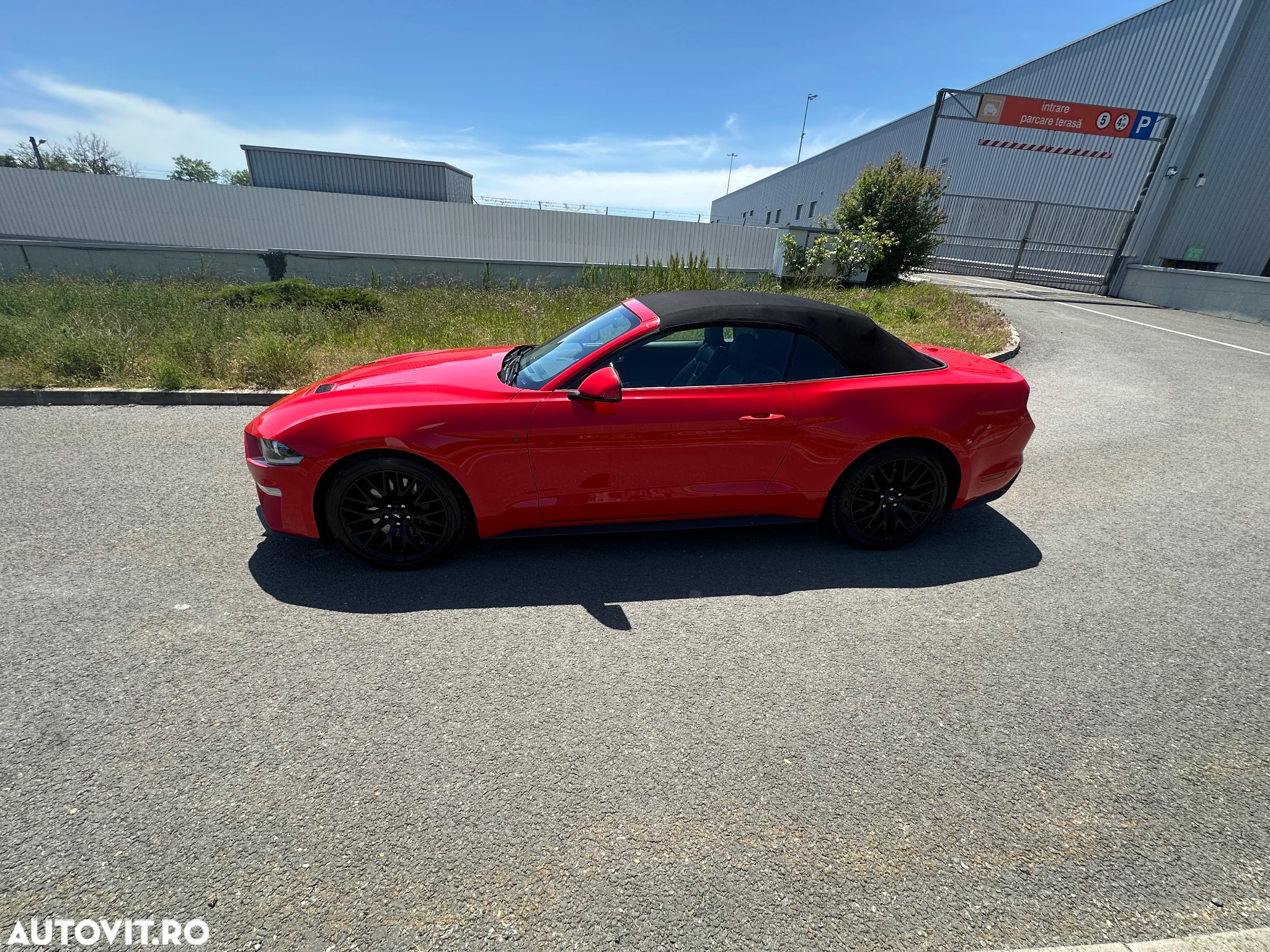 Ford Mustang Convertible 2.3 Eco Boost Aut. - 22