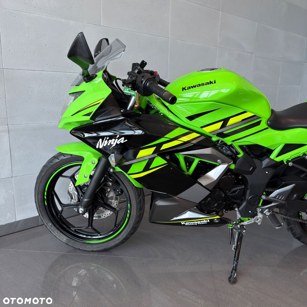 Kawasaki Ninja - 10