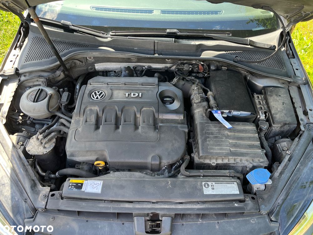 Volkswagen Golf - 25