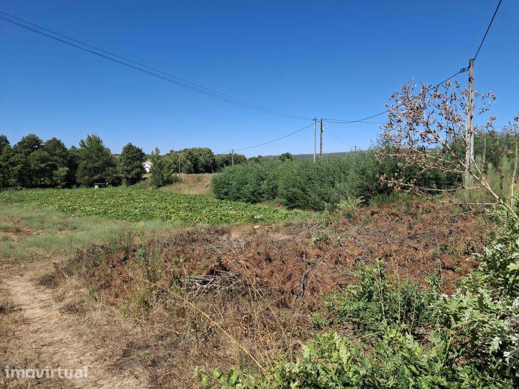 Terreno em Cerejo - Grande imagem: 2/3