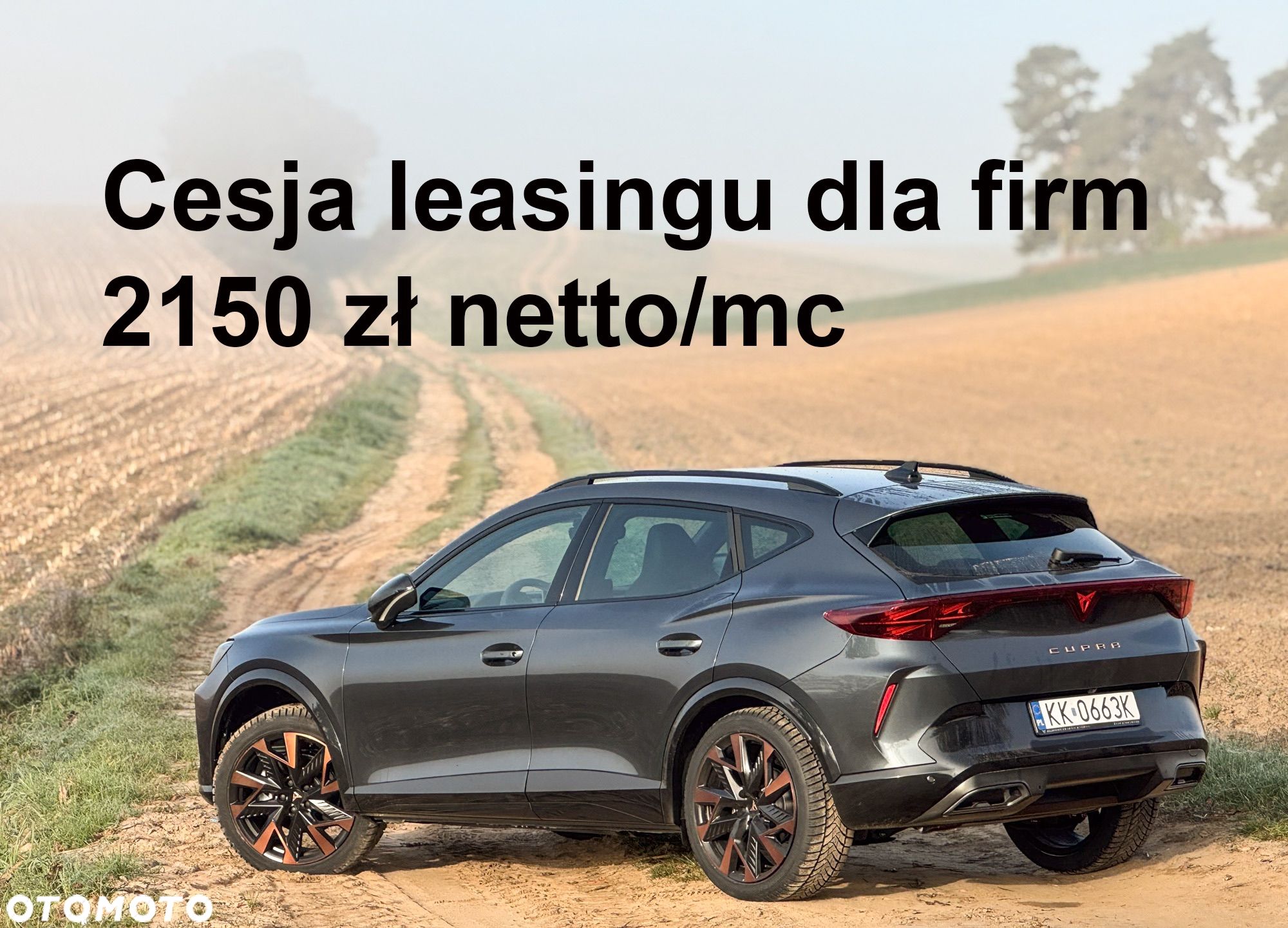Cupra Formentor 1.5 TSI DSG - 1