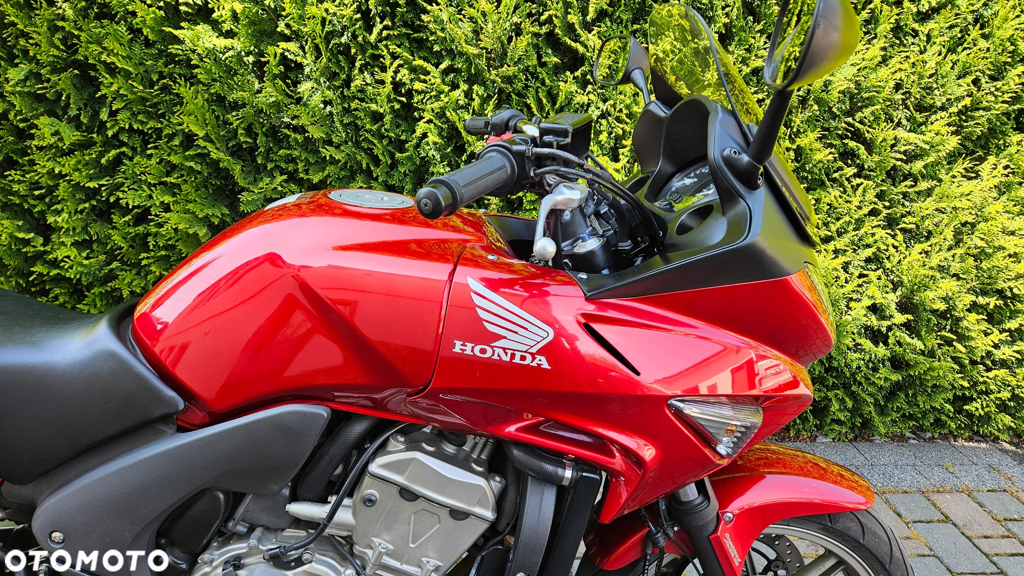 Honda CBF - 8